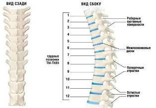 cervical osteochondrosis